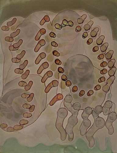 <i>Recording #32</i>, 2007-11